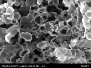 Electron microscopy image 1