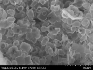 Electron microscopy image 2